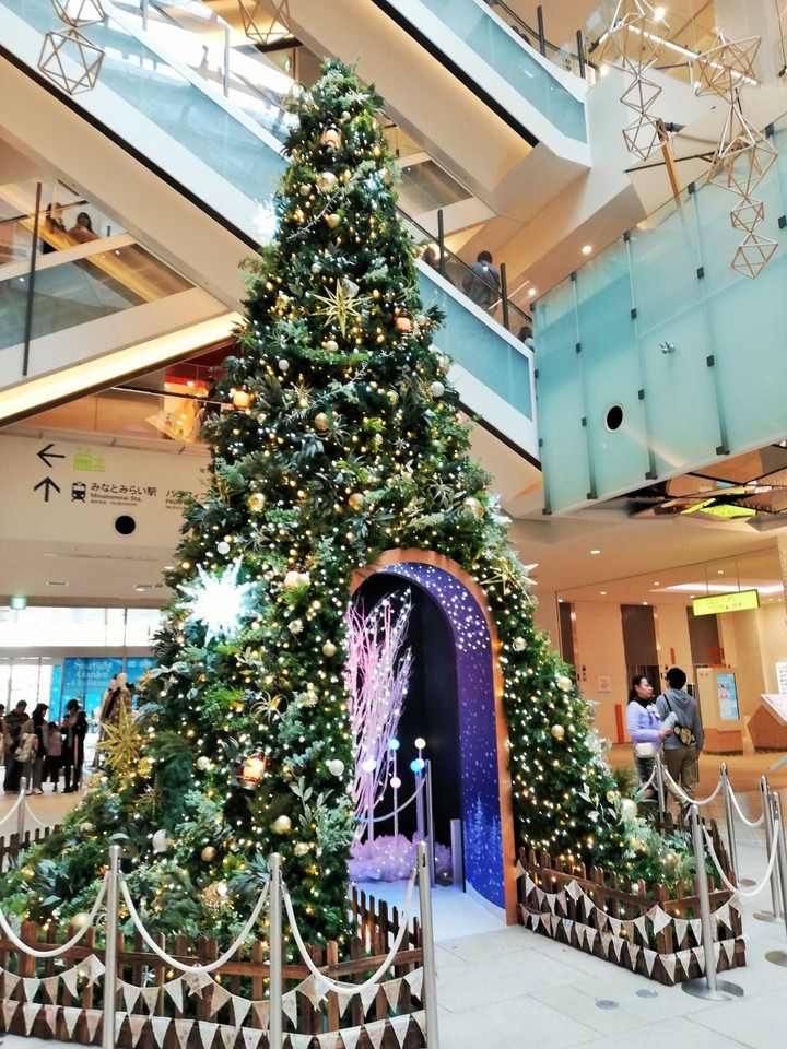 今年のクリスマスツリー