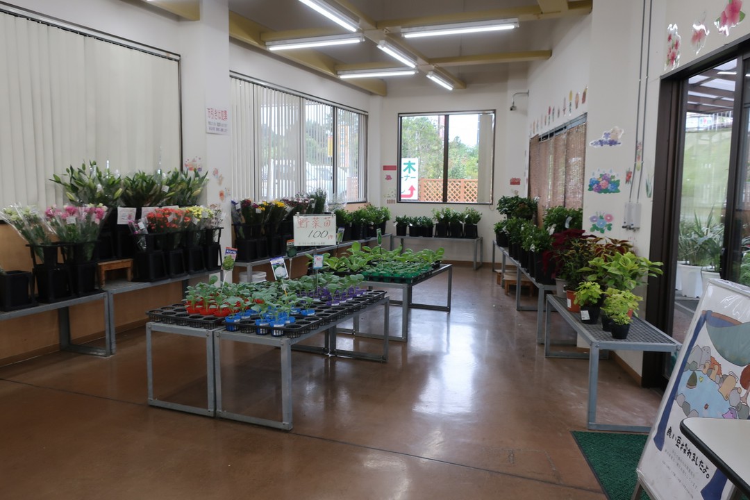 植木も販売