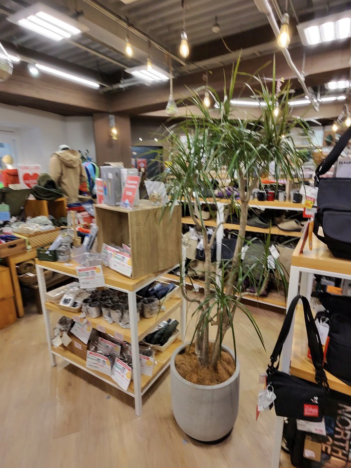 L-Breathの店内の様子。多種多様なアウトドア用品がディスプレイされている
