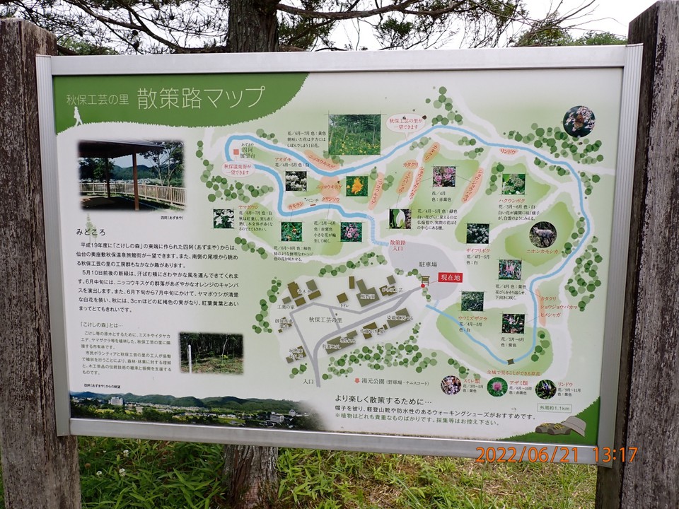 案内図