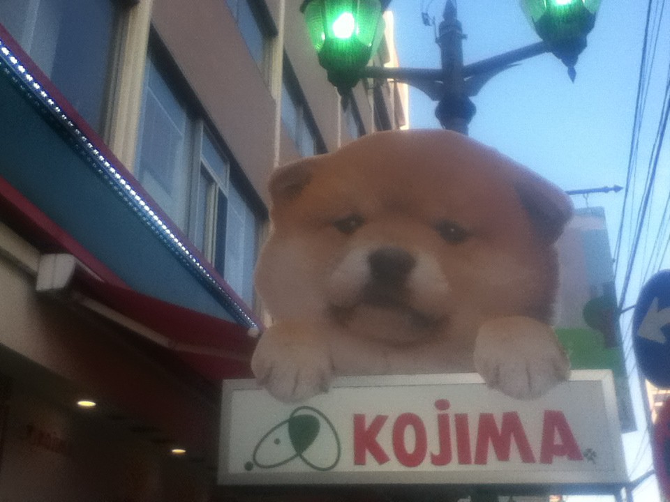 店頭付近