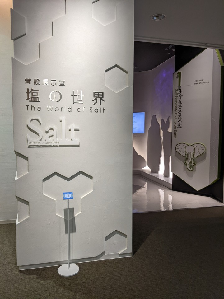 常設展示も充実して楽しめました