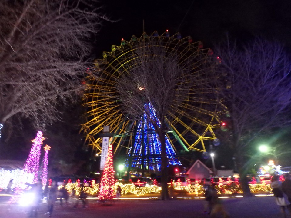 夜の観覧車