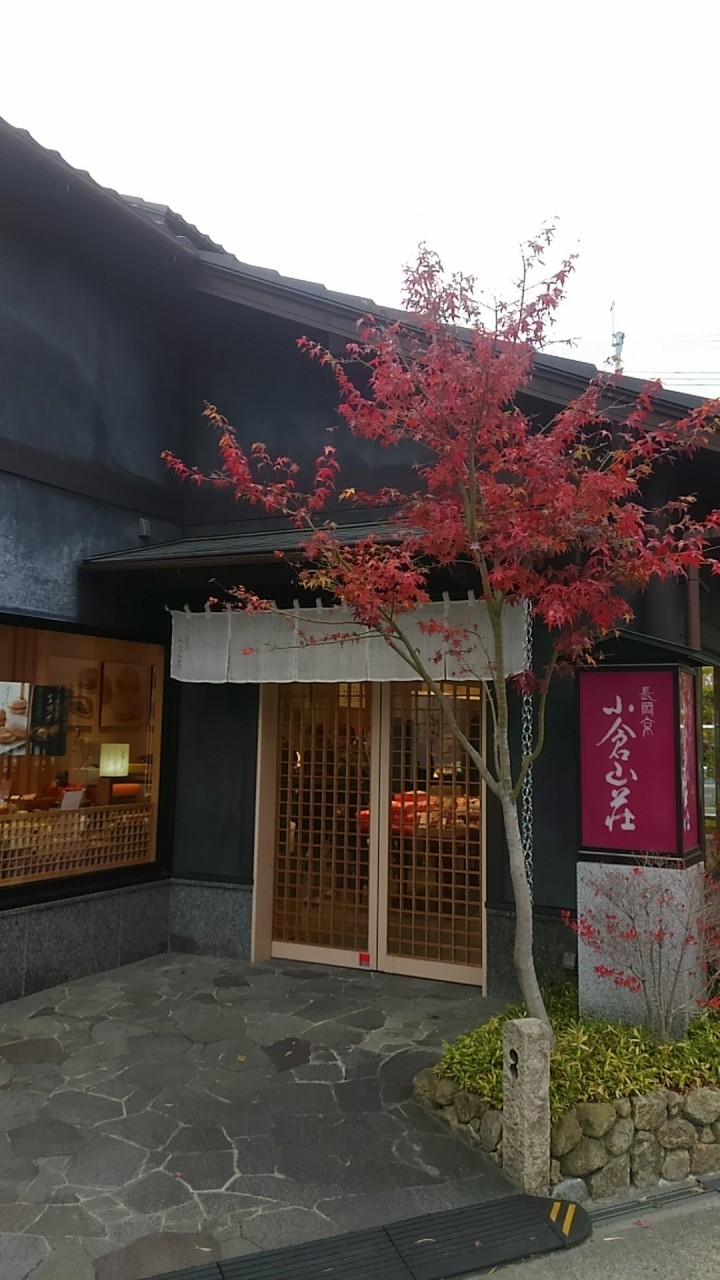 お店の外観もきれいで伏見の町に合っていました。