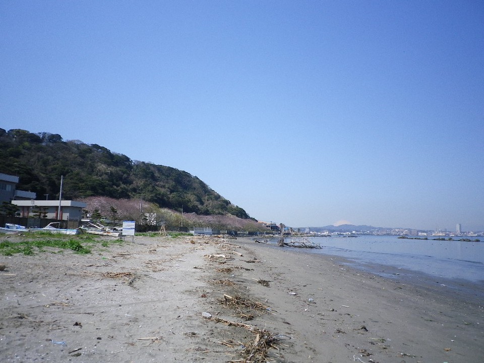 hashirimizu
