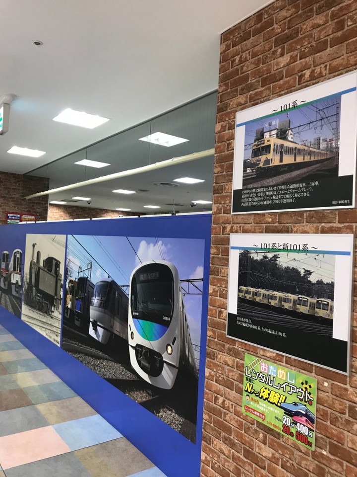 展示写真