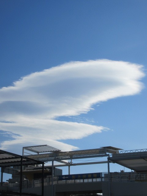 雲