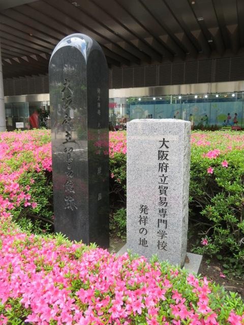 ツツジが綺麗です