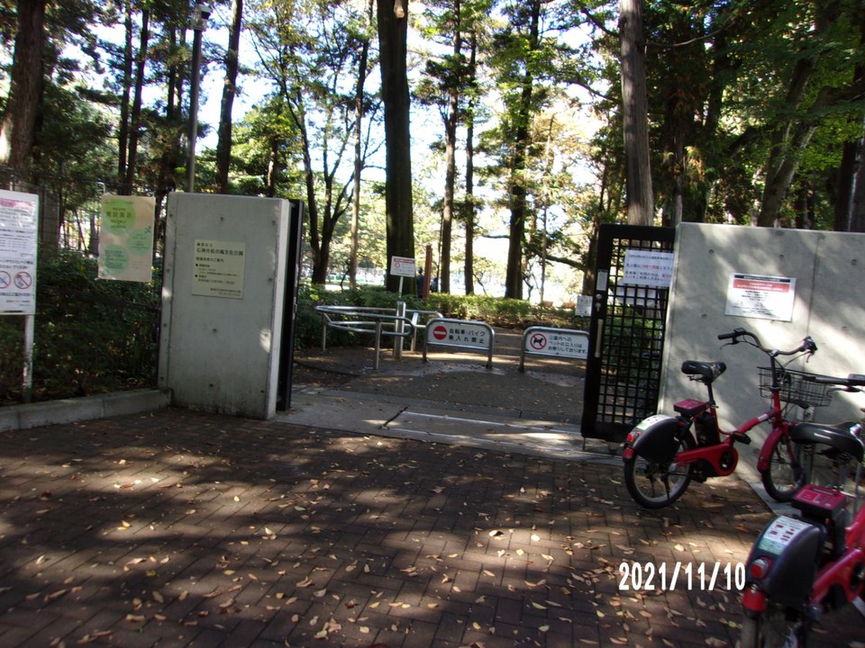 公園の入り口です。都立石神井公園からです。