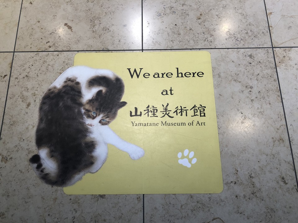 踏めませんが