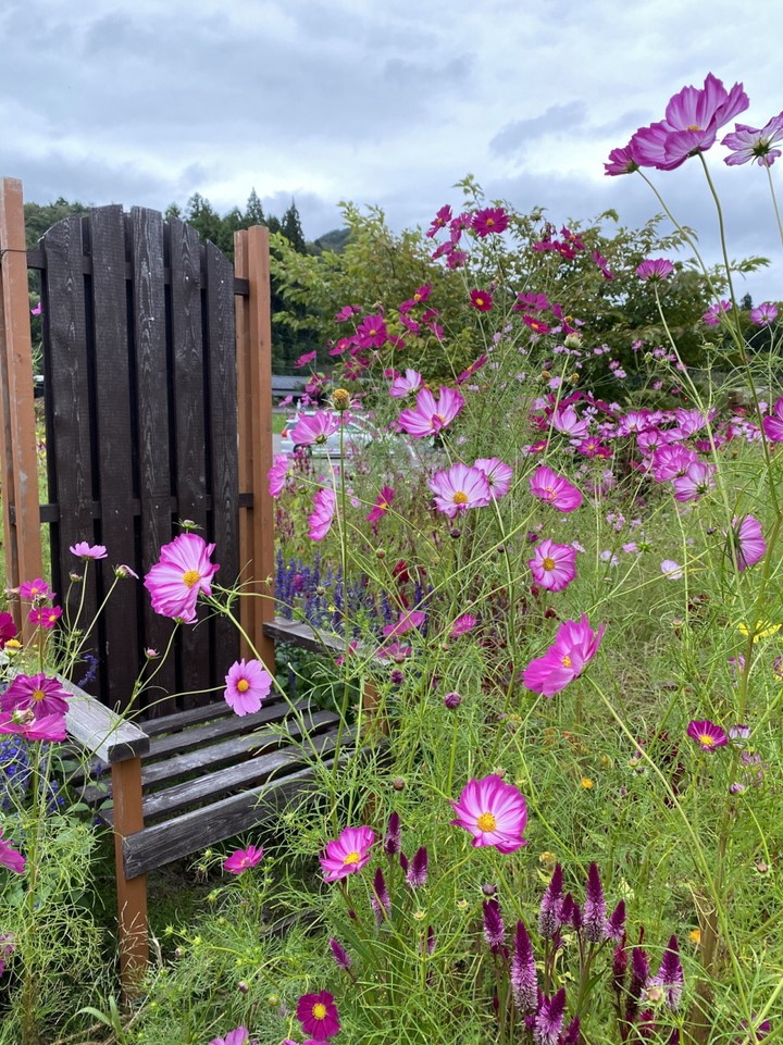 お庭