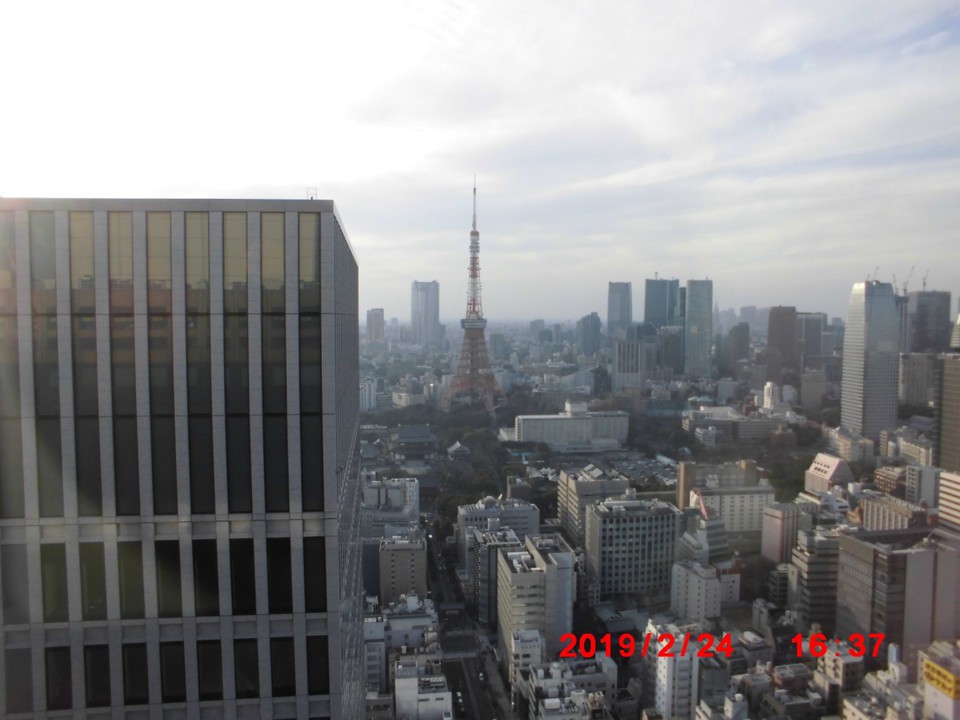 東京タワーが見えます