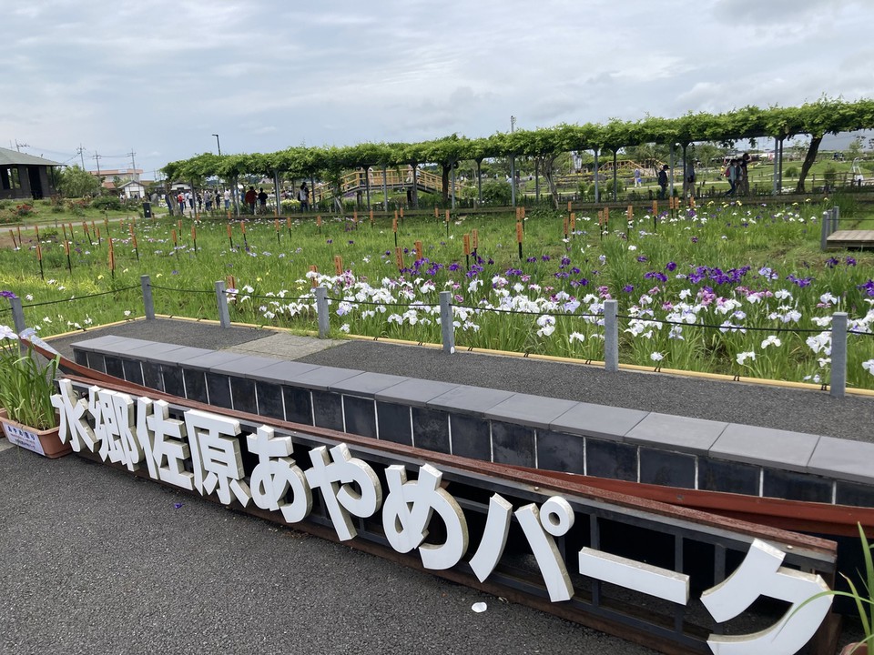 全景