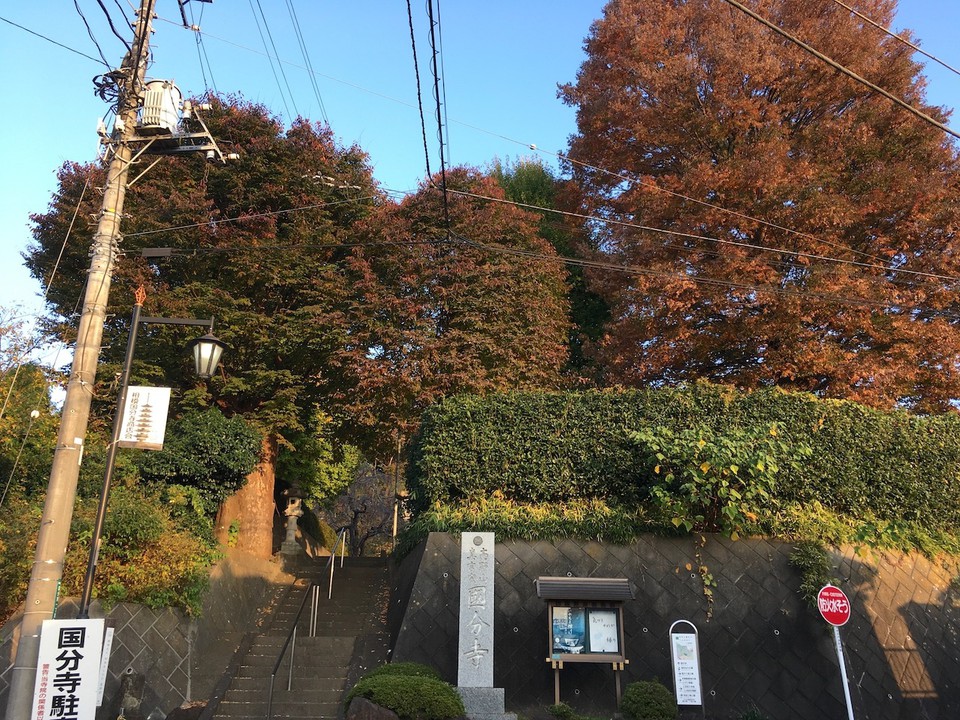 境内に上がる石段