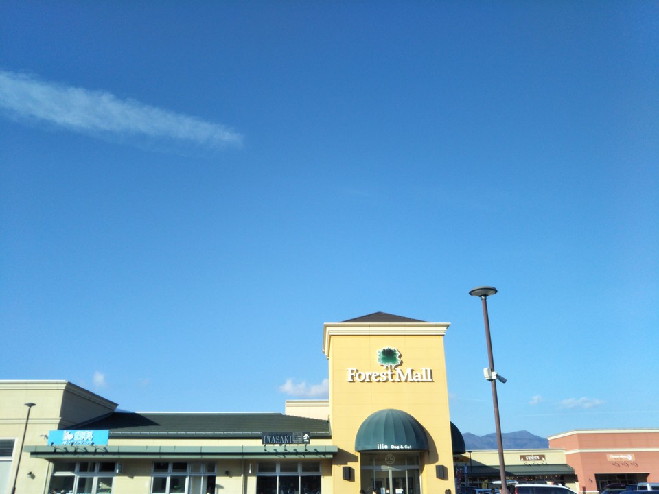 フォレストモール 富士河口湖