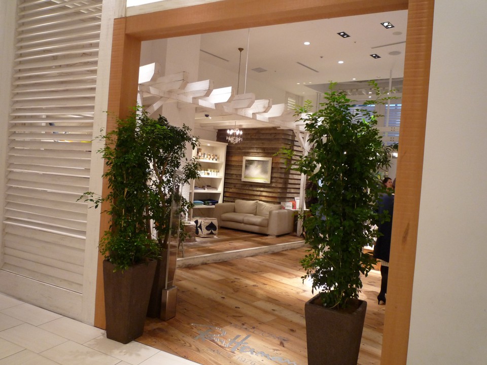 ゆっくり見るようです