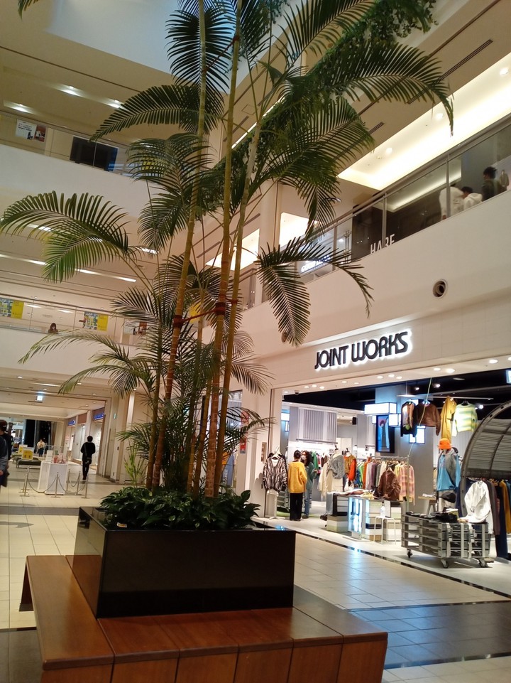 ららぽーとTOKYO-BAY