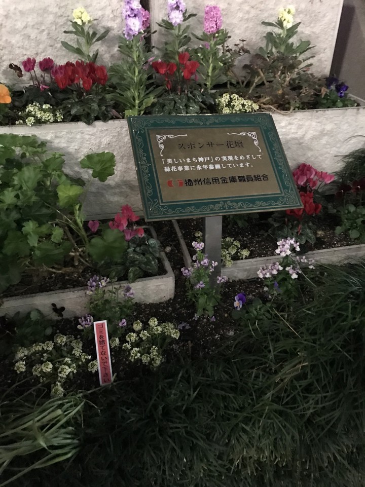 エントランスのお花畑も良かった