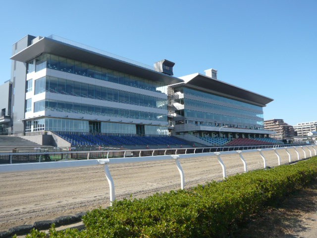 競馬場の西側の観覧席です。５階建ての大きな建物です。