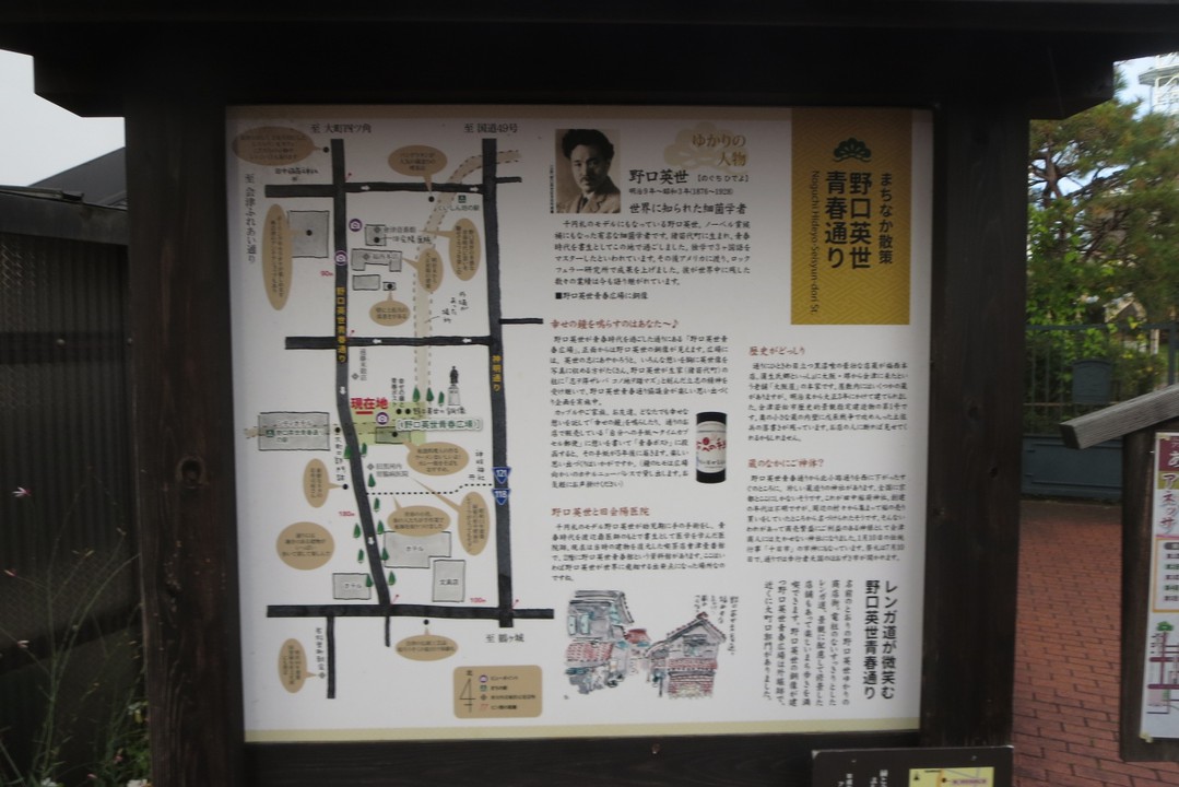 野口英世青春通りにある地域の説明と地図