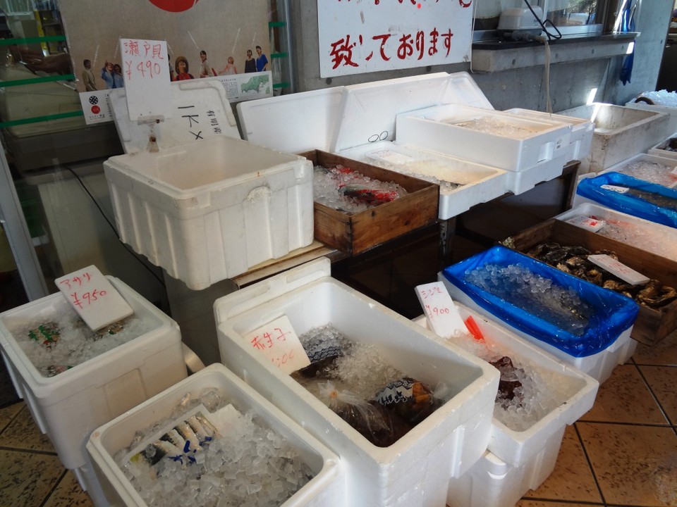 サゴシという懐かしい名前も