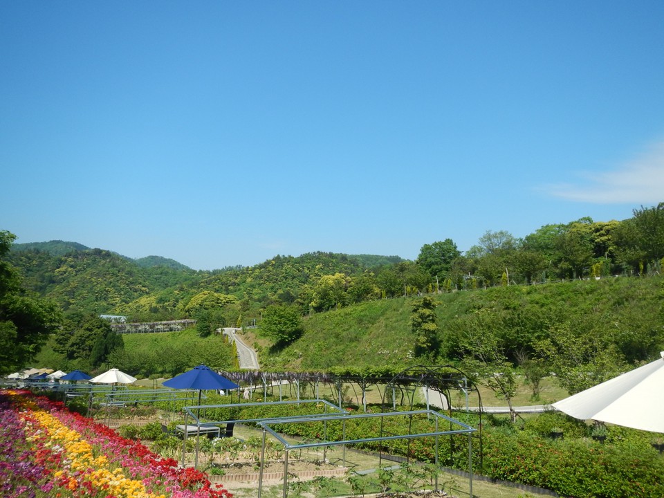広大な敷地にたくさんの花！