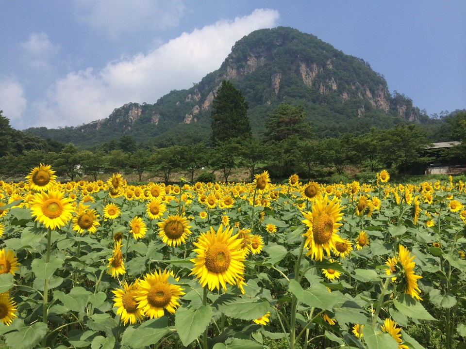 美しいのひとことです