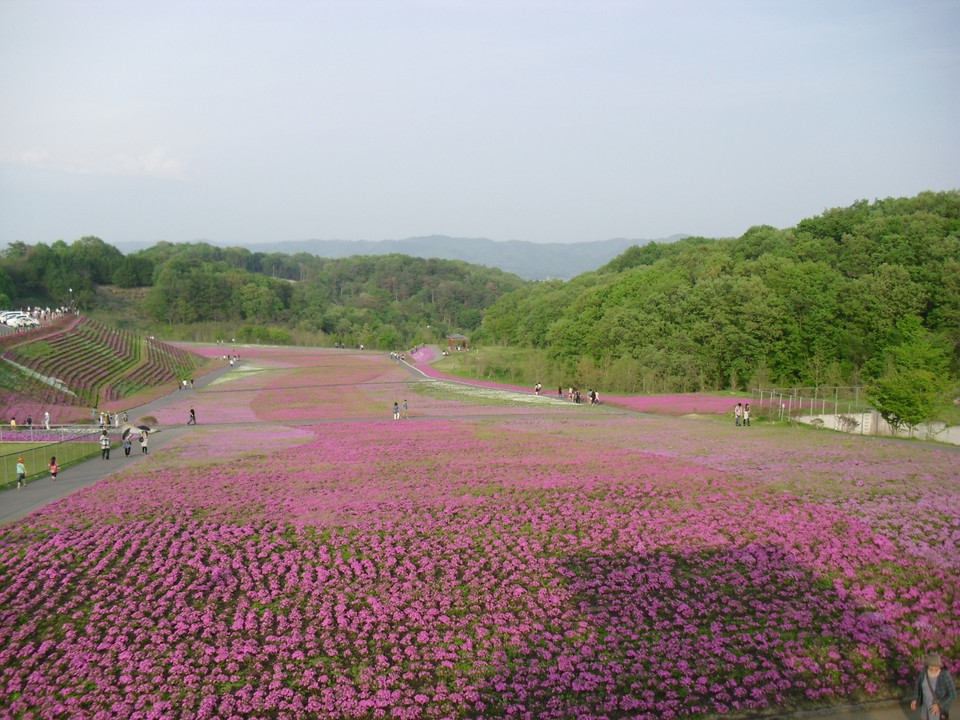 展望台から全景