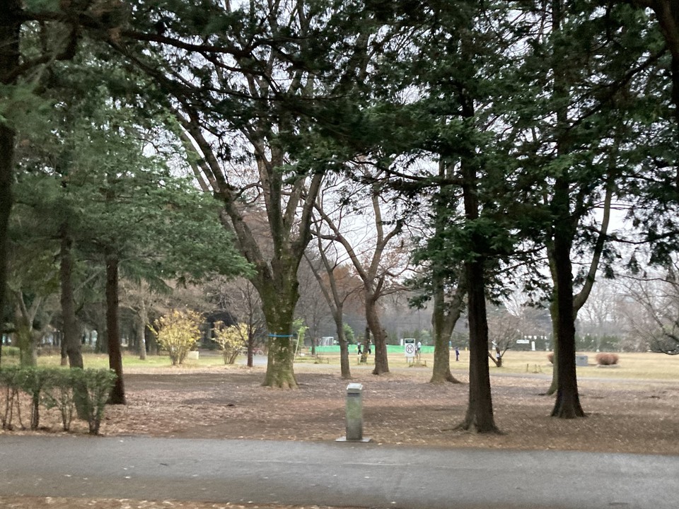 木々が多い