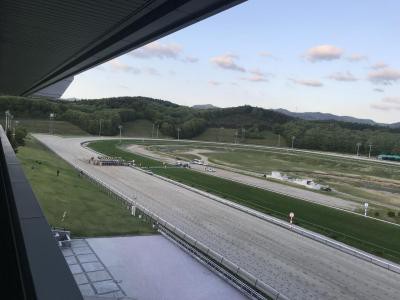 きれいなコース