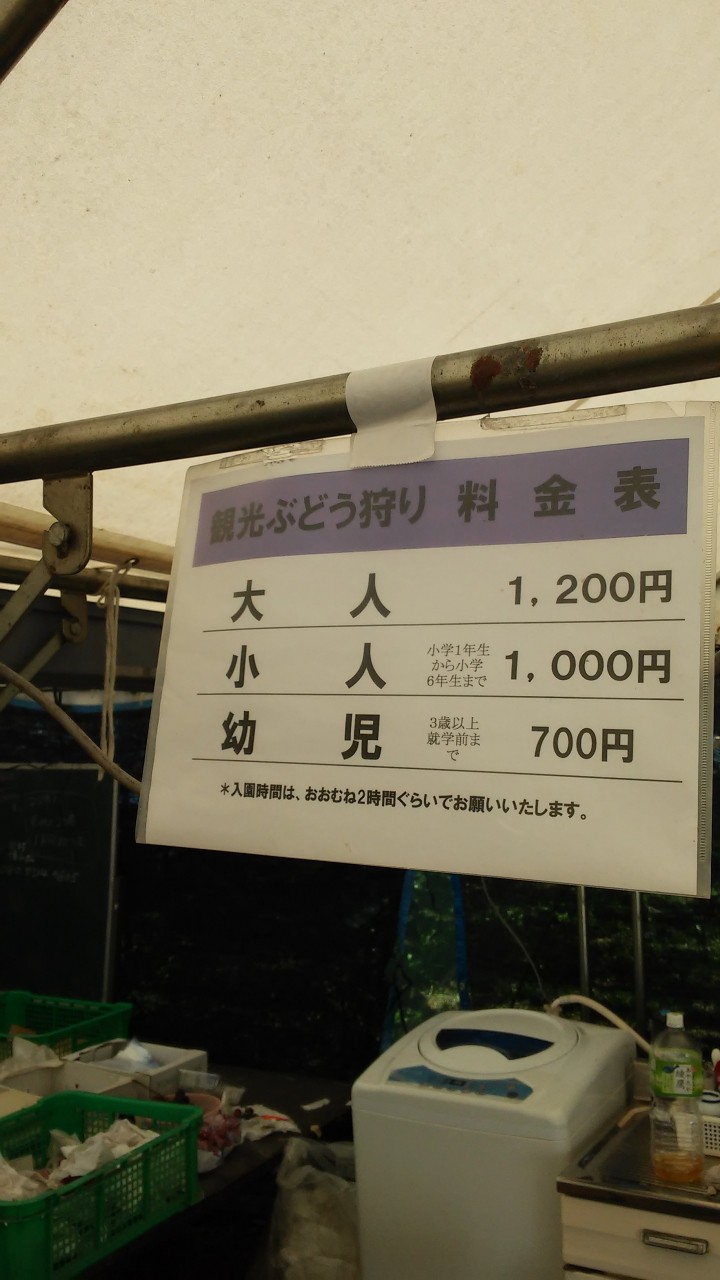 ブドウ狩りの価格です。