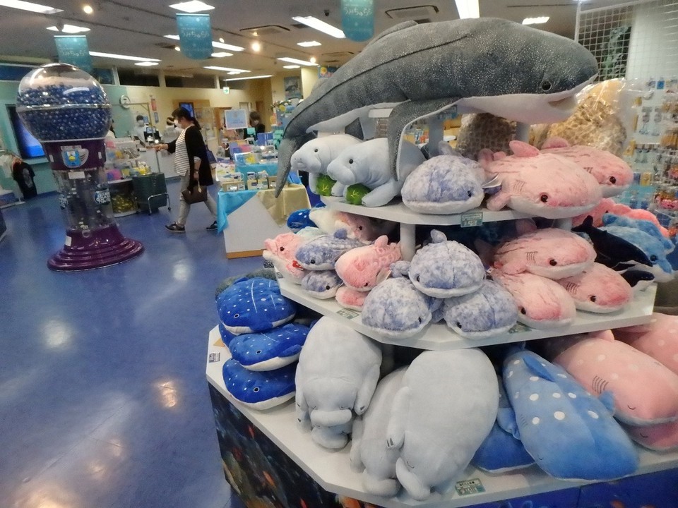 水族館に行けない人はせめてここに来て欲しい