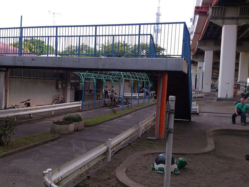 公園内の道路