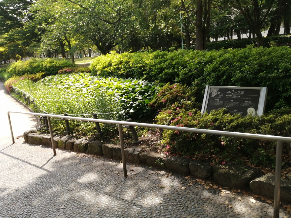 【ユリの花園】と呼ばれる花壇があります。