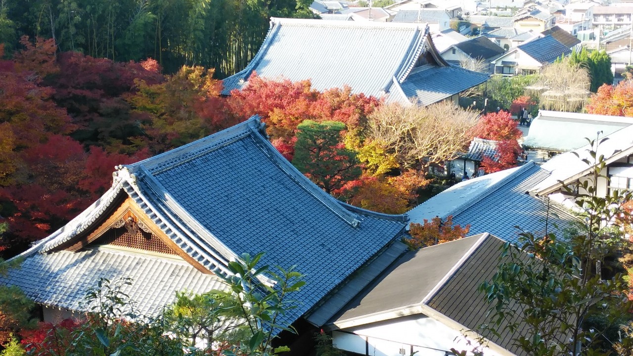 東照宮からの紅葉