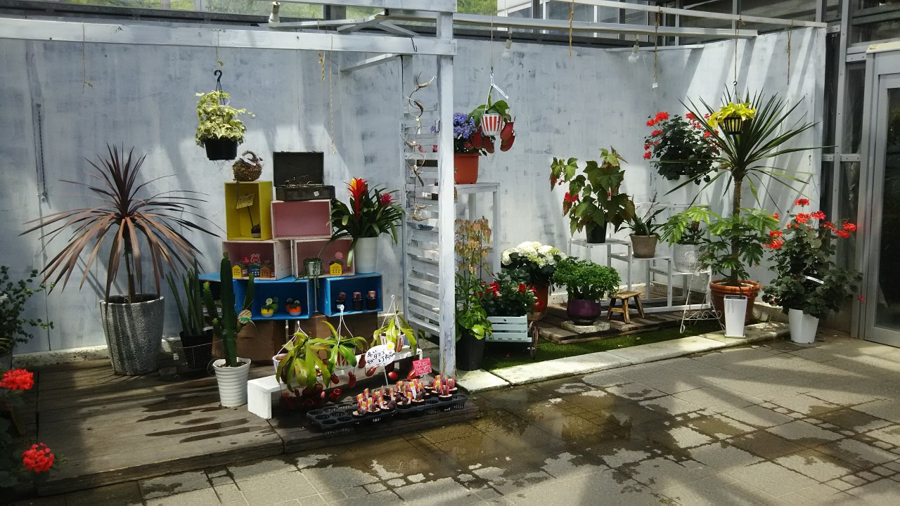 温室の展示。