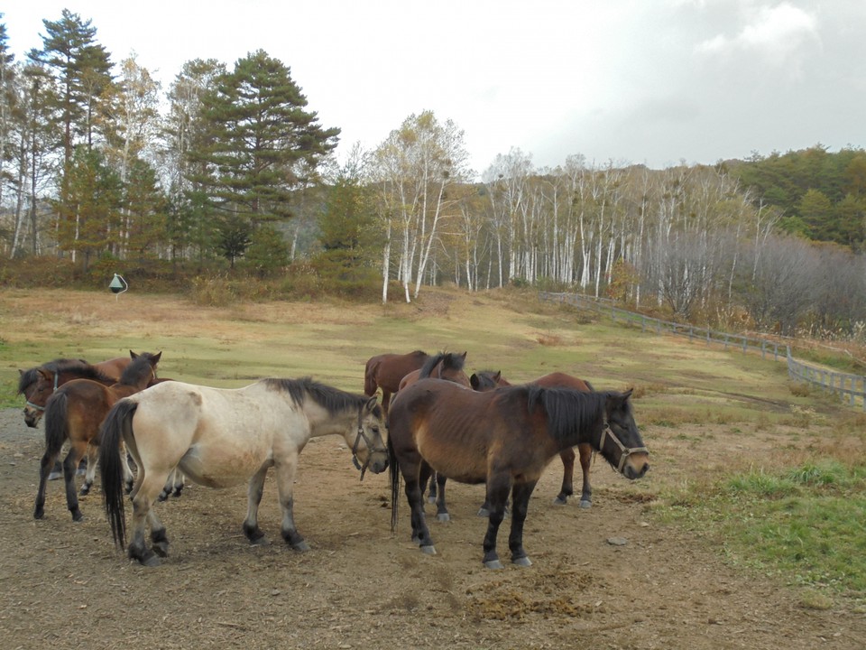 離れるとあっち向いて知らん顔