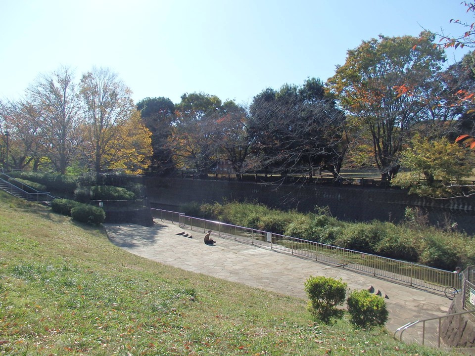 祖師谷公園親水広場