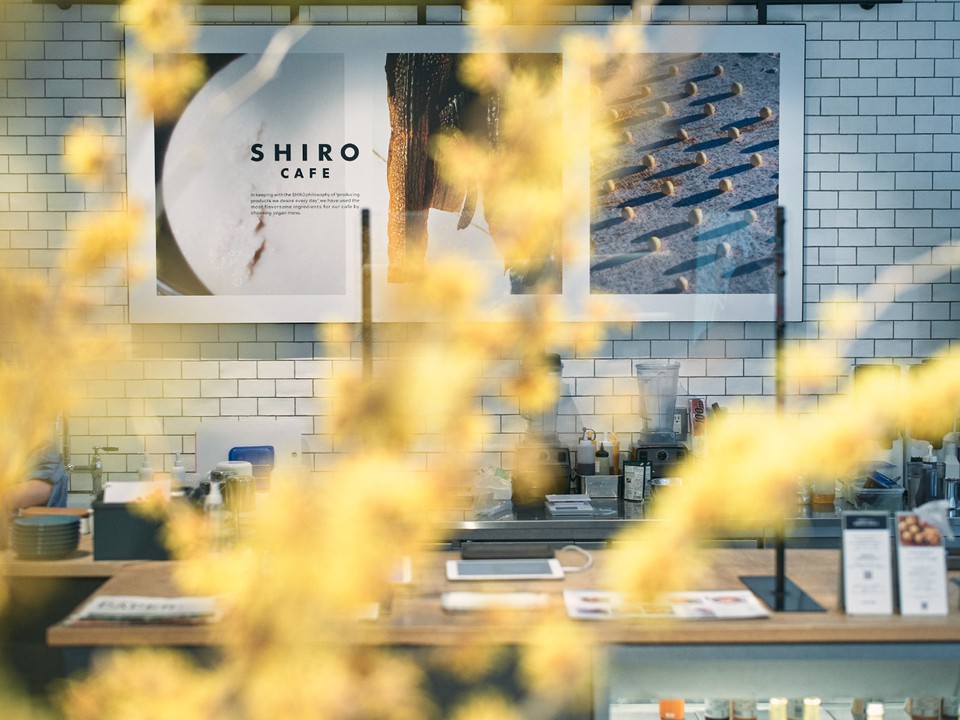 シロ自由が丘店の内観画像。