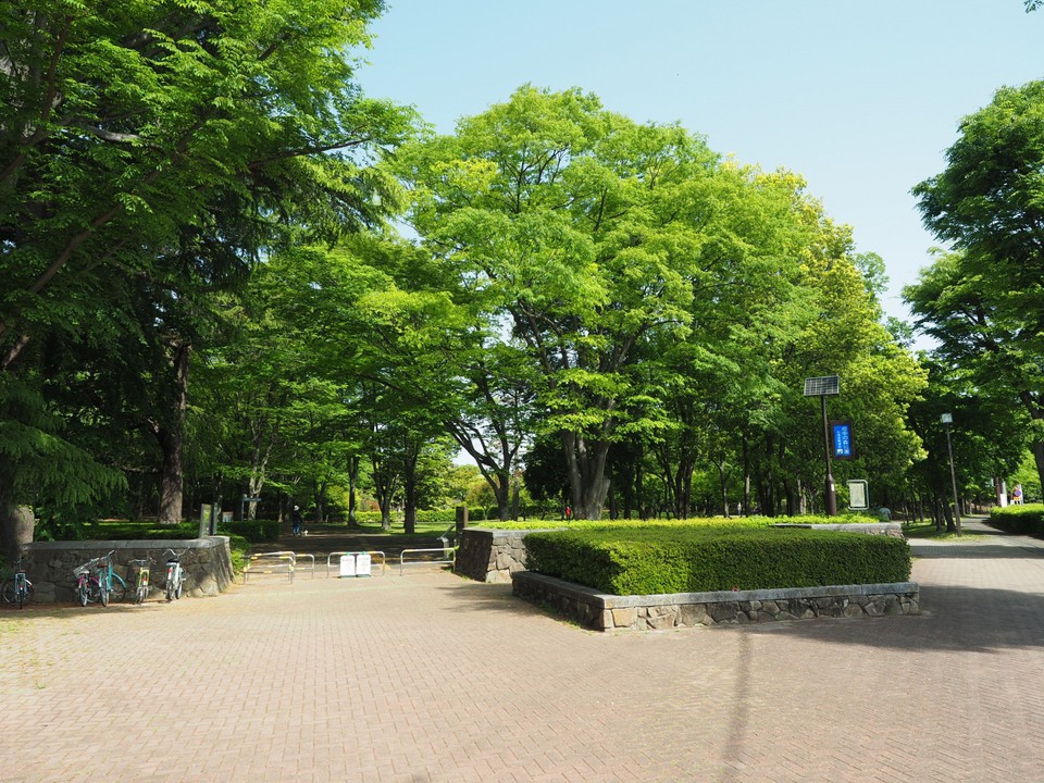 府中の森公園
