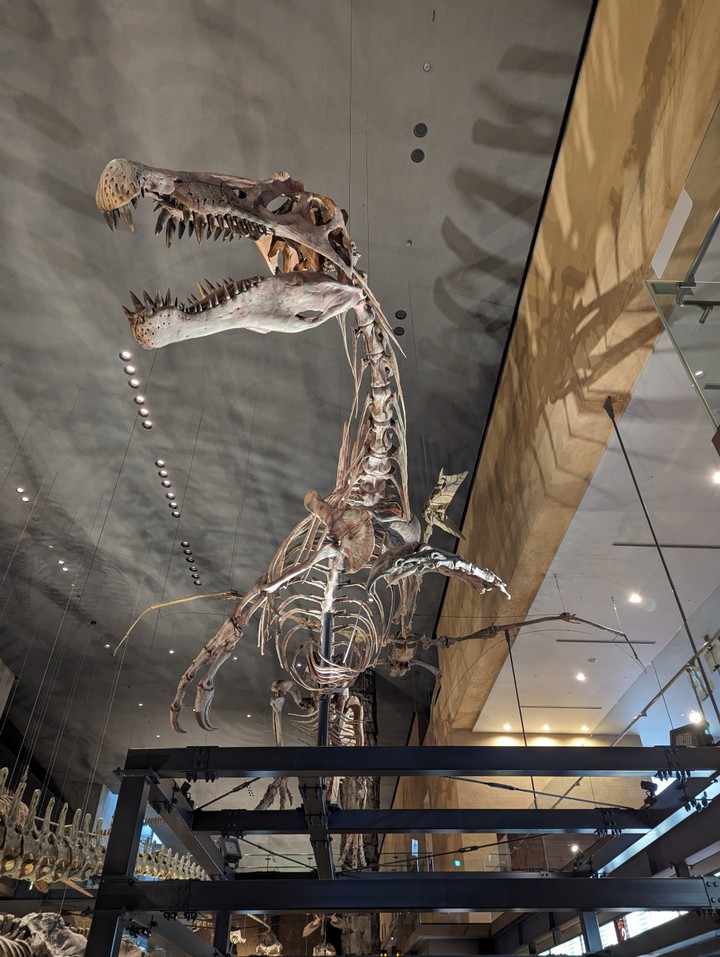 Exhibits