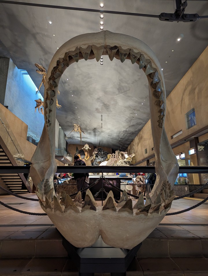 Exhibits