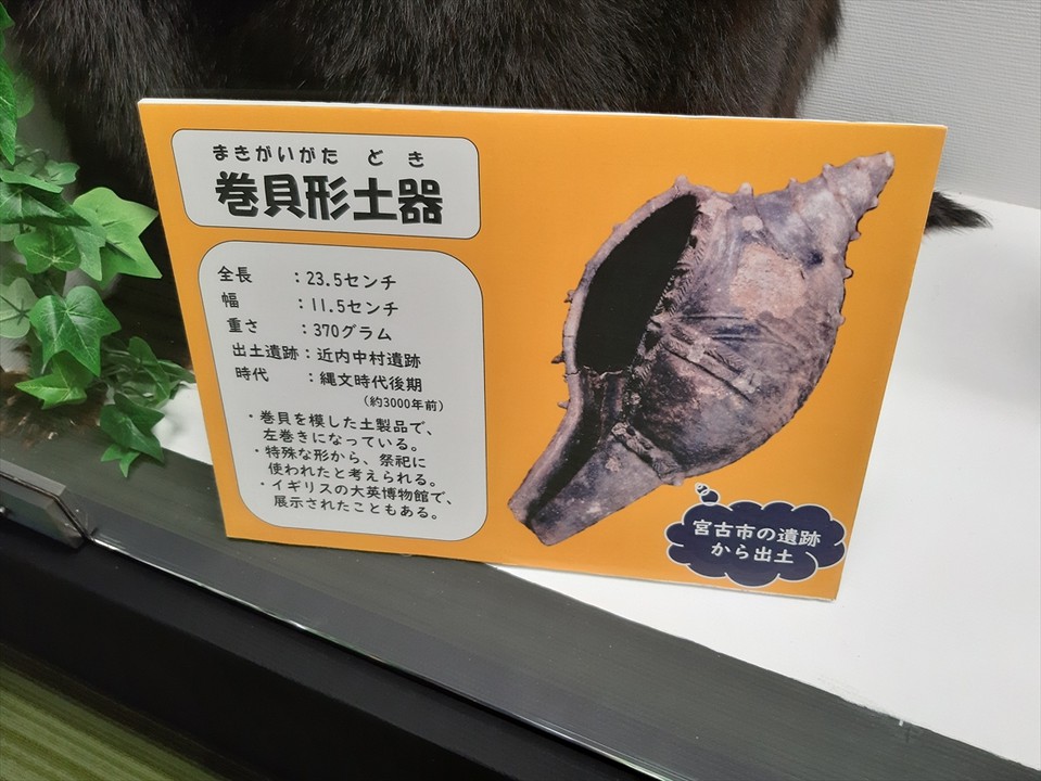 大英博物館にも展示された巻貝型土器の説明。実際の写真は…、