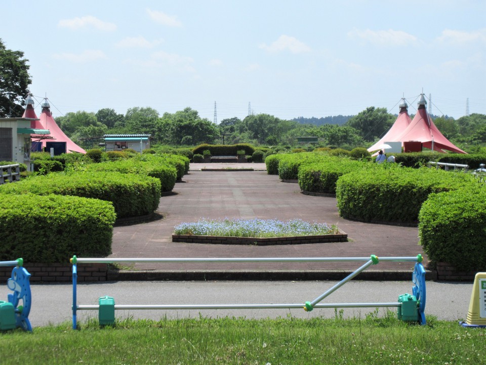 広大な公園です