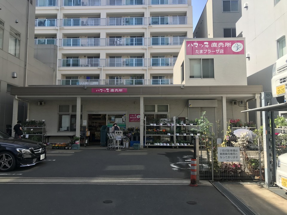 正面