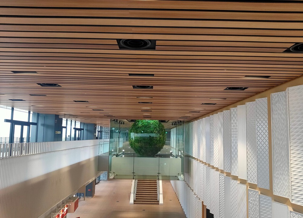 吹き抜け。壁も天井も面白い