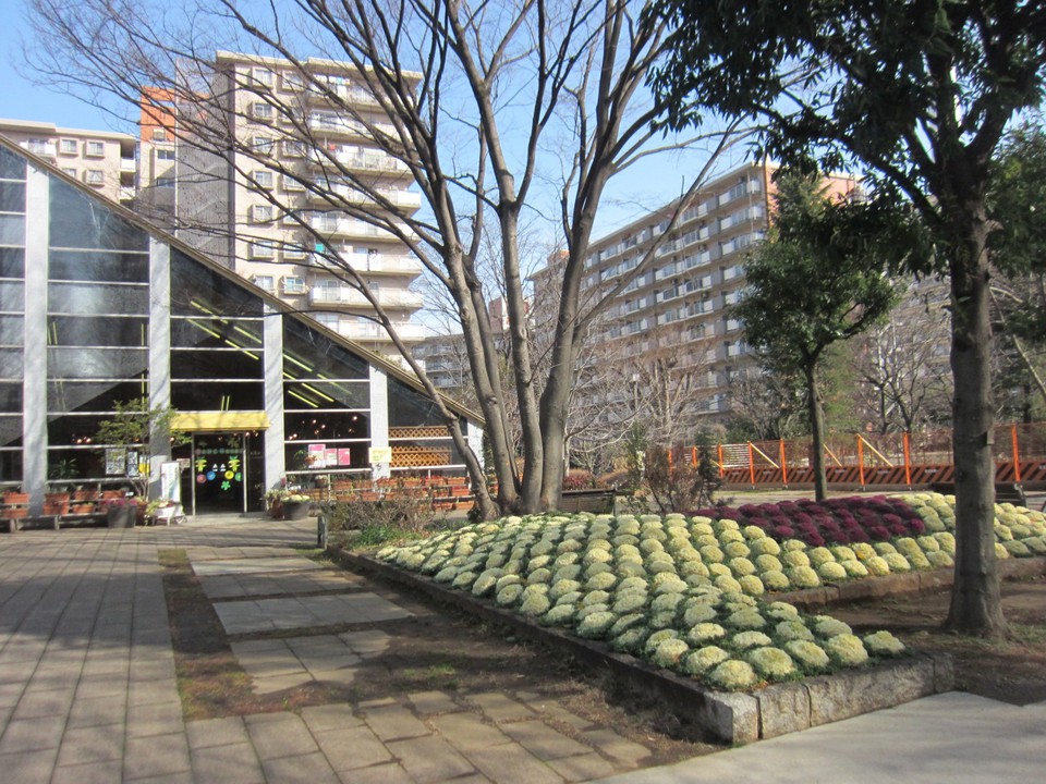 温室植物園の跡地(写真右奥)