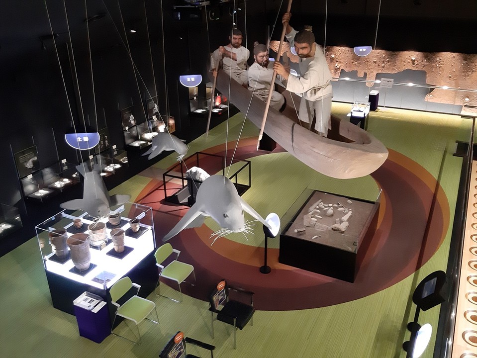 上階から見下ろした展示ホール。