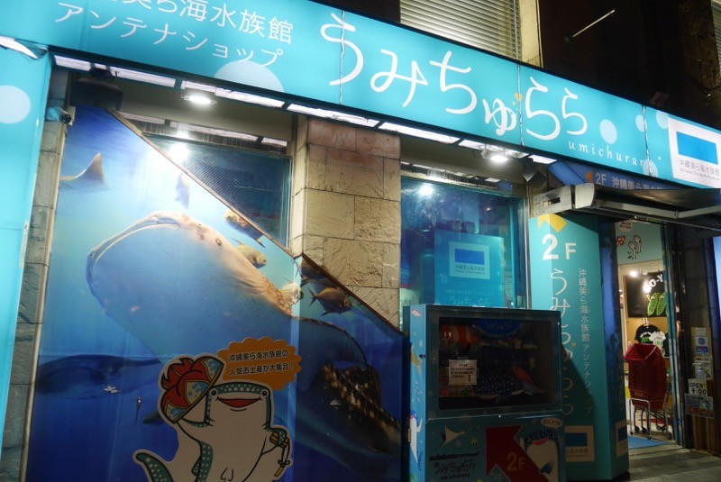 ジンベイザメがおでむかえ。