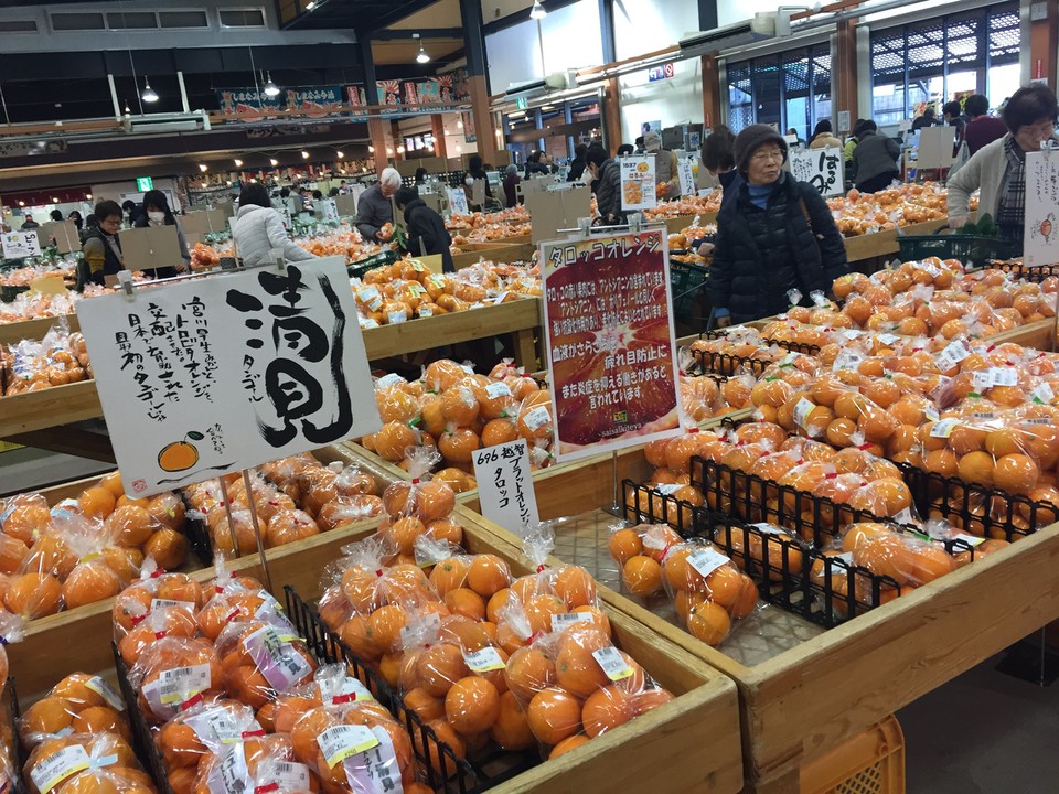 柑橘類がたくさん